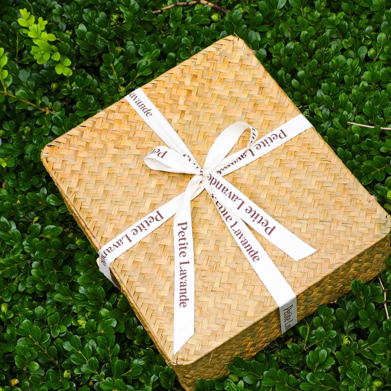 Petite Lavande gift box tied with ribbon, resting on greenery